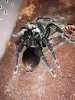 20180706_000322.jpg