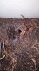 20180708_075453.jpg