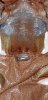 Screenshot_20180721-233554_Gallery.jpg