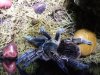 20180727_193838.jpg