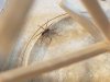 20180908_210044.jpg
