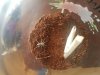 20180910_141620.jpg