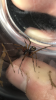 292D04FC-1049-48C8-83B5-7F0F2068BDB0.png