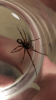 22F41F68-9700-407D-9EFF-BEFE0EFC7731.png