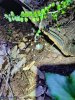 IMG_20181008_193453.jpg