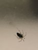 24D39454-BB56-484B-AD50-FE669AC0672B.jpeg