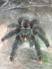 20180709_215327.jpg
