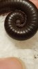 20190117_173441.jpg