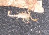 IMG_0815.JPG