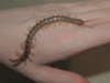 RSCN3761.JPG