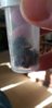 20190520_182422_001.jpg