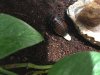 thumbnail_IMG_7985.jpg thumbnail_IMG_7985.jpg