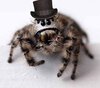 unibrow spider with top hat n monocle.jpg