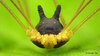 Bunny Harvestman.jpg