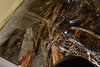DSC_0297.jpg