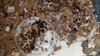 20191231_073000.jpg