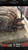 389CE28E-5A03-4C4B-896A-0D3EDD05FEF4.png