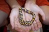 Kenyan Sand Boa 10-28-06 a.JPG