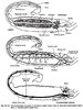 ScorpionInternals64.jpg