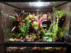 20200126_Vivarium no 2.jpg