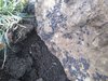 IMG_20200303_165144775.jpg
