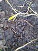 IMG_20200303_165256475.jpg