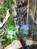 64A4C1AE-4D07-43ED-86C7-916EF34458DA.jpeg