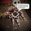 Great Devourer.jpg