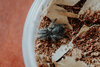 Tarantuals1-82.jpg