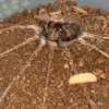 37828138-B549-4EE2-B5EA-F0C21CFA573F.gif