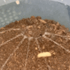 0EE4A896-D361-452A-A072-2140F4613323.gif