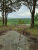 20200630_173329.jpg