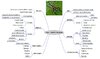 Wall Jumper vivarium design draft 3.JPG