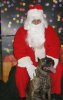 Buster & Santa.jpg