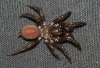 IMG_9852.jpg