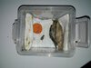 Transportation container.jpg