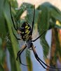 20201007_151241.jpg