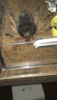 02197577-E453-449C-A867-F6E50FFE4F2D.png