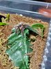 20201119_232352.jpg