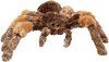 plush tarantula.jpg