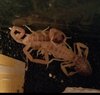 20201219_010300.jpg