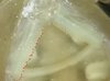 20201219_013457.jpg