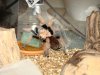DSC02753.JPG