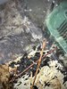 92D7226D-67C3-4893-B441-757707E27B40.jpeg