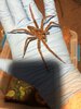 BE6E5259-064F-48FD-A2CC-820C23F9F78C.jpeg