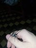 received_349834676737516.jpeg