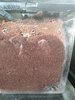 IMG_20201122_092618079.jpg