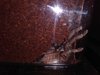 IMG_20201002_132914685.jpg