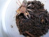DSCN1617.JPG