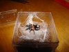 DSC00986 (Medium).JPG